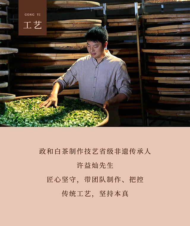 云根茶业云根白茶相厚饼撬茶