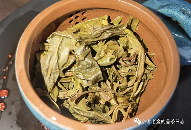 彤掌柜2022年始终普洱茶