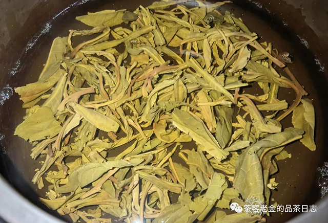 茶人壹树枼2022年大古树普洱茶