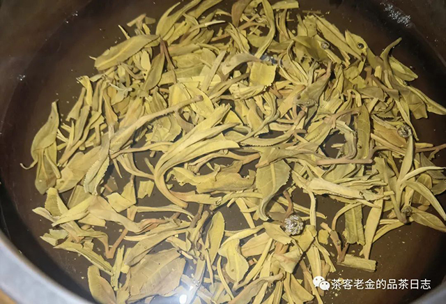 萧关茶事2022年大其力缅甸古树普洱茶