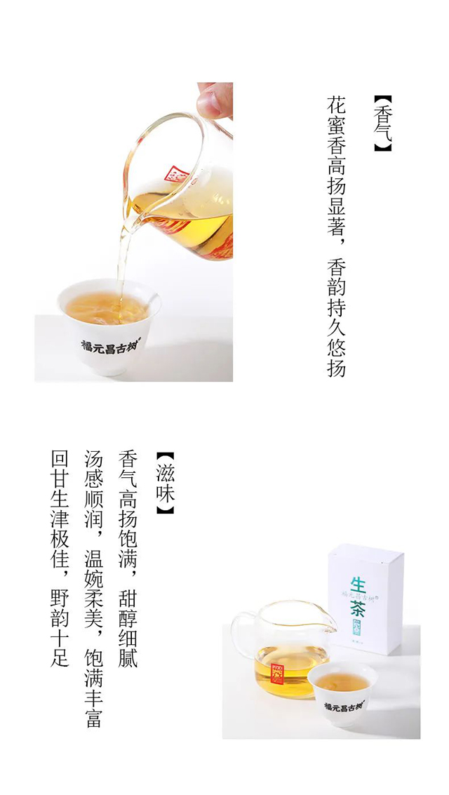 福元昌古树小龙珠普洱茶