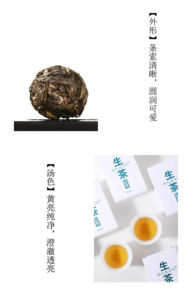 福元昌古树小龙珠普洱茶