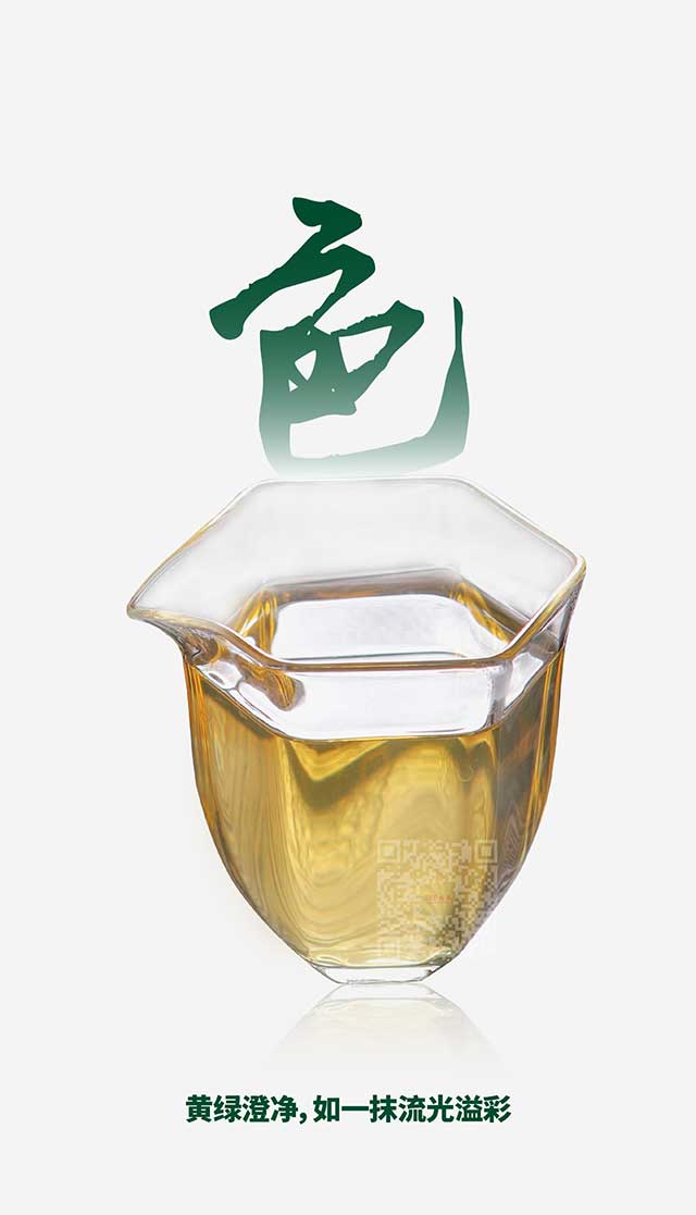 勐库戎氏博君普洱茶