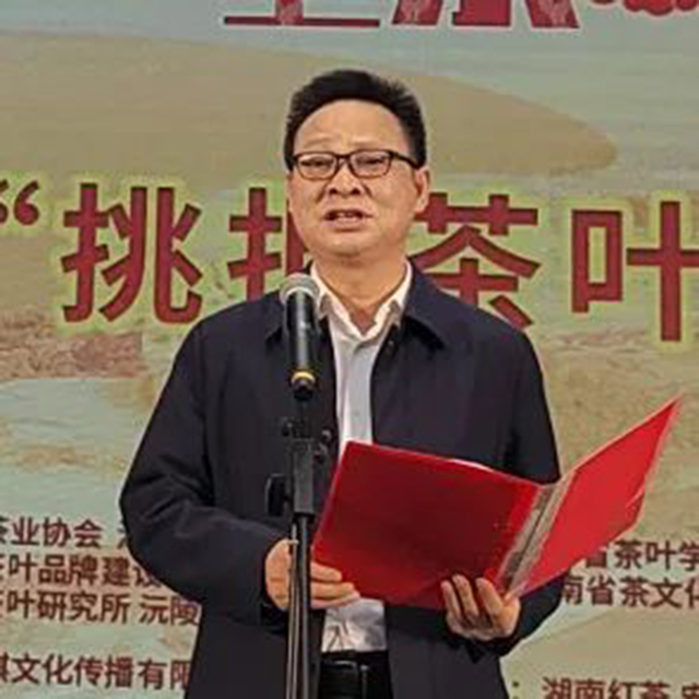 湖南省供销合作总社副主任杨利凯致辞