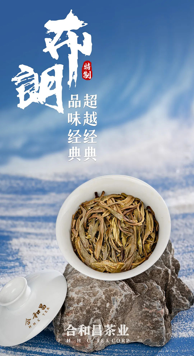 合和昌布朗特制普洱茶