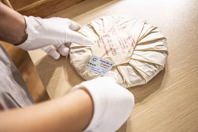 双陈普洱领跑东莞茶企标准化