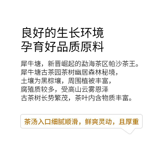 荣瑞祥2022年帕沙犀牛塘头春古茶普洱茶