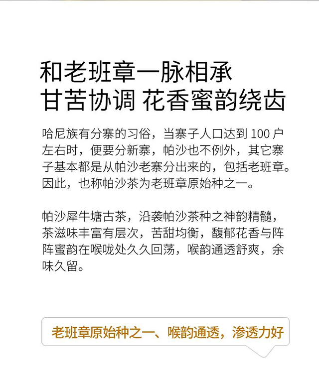 荣瑞祥2022年帕沙犀牛塘头春古茶普洱茶