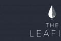 经典普洱体系两茶品荣获英国国际茶学院首届THE LEAFIES学院奖殊荣