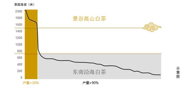 八角亭月美人有机白茶