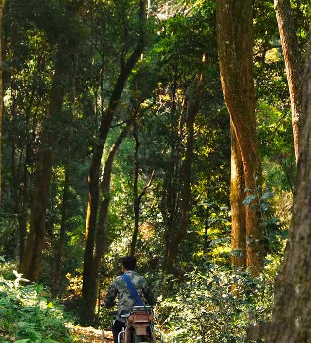 中茶茗山一扇磨易武普洱茶