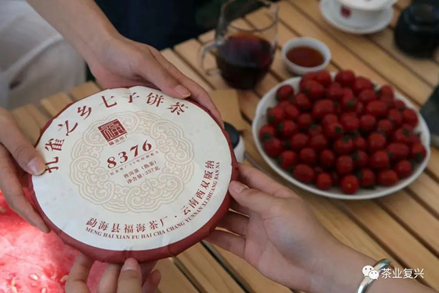 茶业复兴立冬茶会