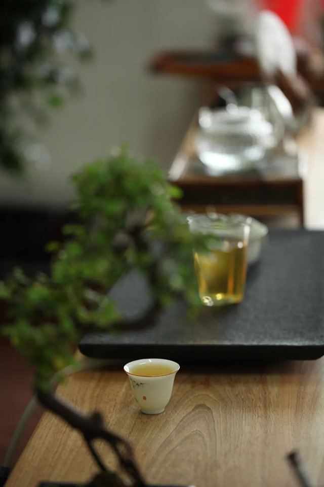 荣瑞祥2021年梅子箐古树春茶