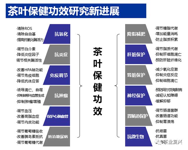 王岳飞中国茶文化与茶健康