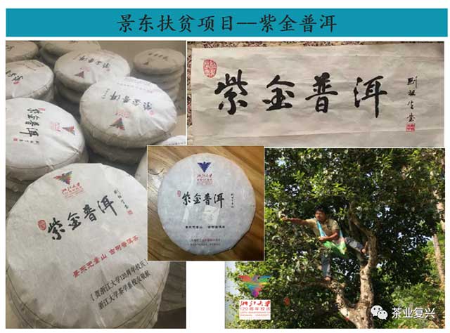 王岳飞中国茶文化与茶健康