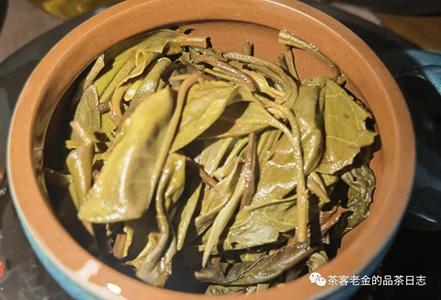 萧关茶事2022年打落古树普洱茶