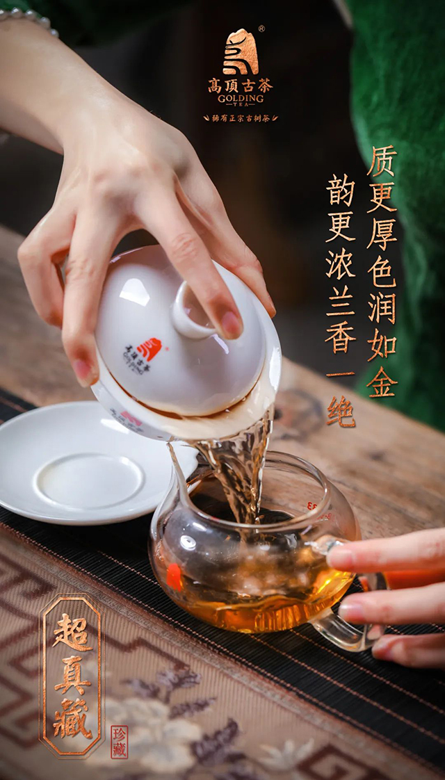 高顶古茶超真藏普洱茶