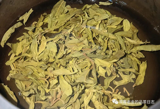 彤掌柜大泥塘勐麻河普洱茶