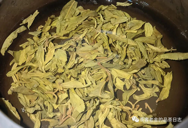 彤掌柜大泥塘勐麻河普洱茶