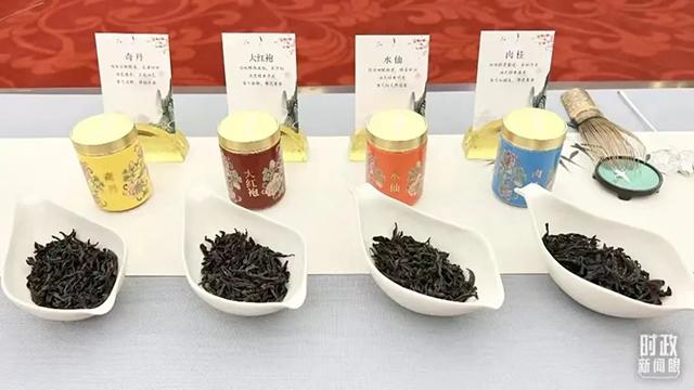 茶叙现场摆放的四种茶叶奇丹大红袍水仙肉桂