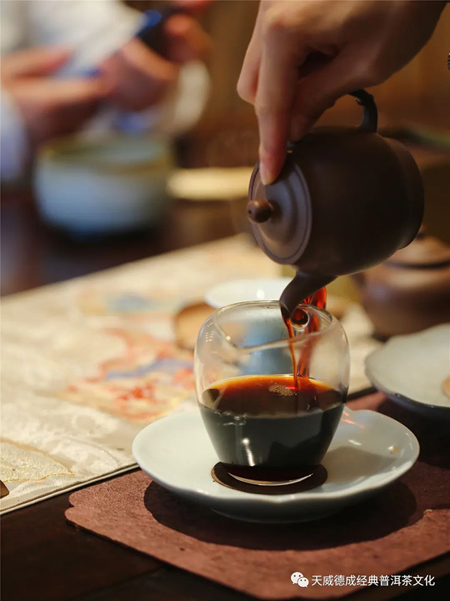 天威德成琥珀光熟茶茶会