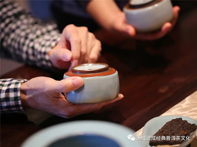 天威德成琥珀光熟茶茶会