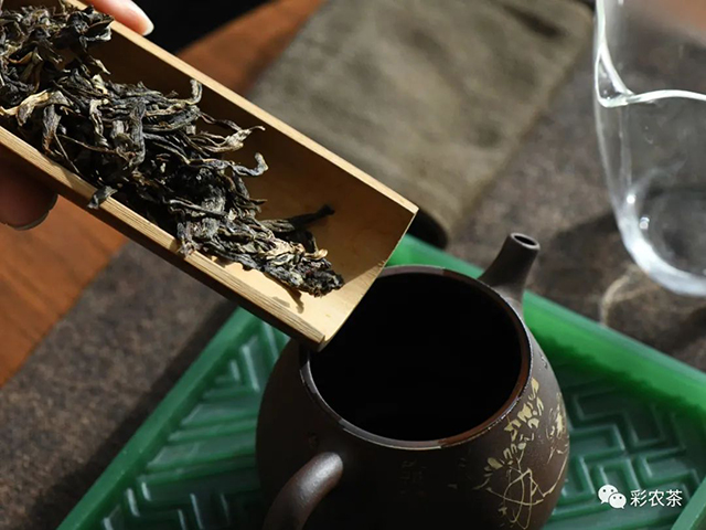 彩农茶云南岩茶普洱茶