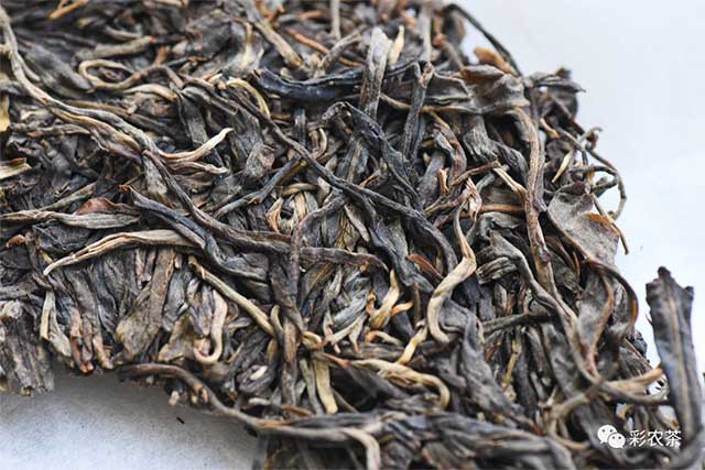 彩农茶东半山普洱茶