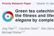 【热点】常喝绿茶为什么会延长寿命？医学专家告诉你！