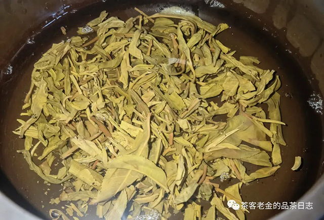 彤掌柜2022年勐麻河杨梅山普洱茶