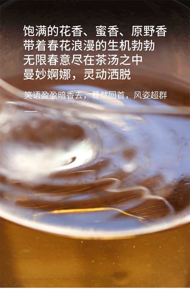 荣瑞祥2021年弯弓小高杆普洱生茶