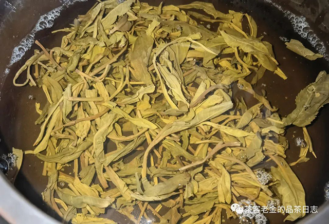 茶人壹树枼2022年虎门山普洱茶