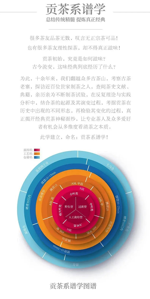 曼松贡茶