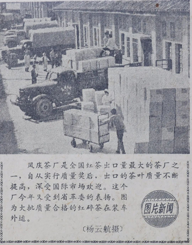 1979年云南日报报道