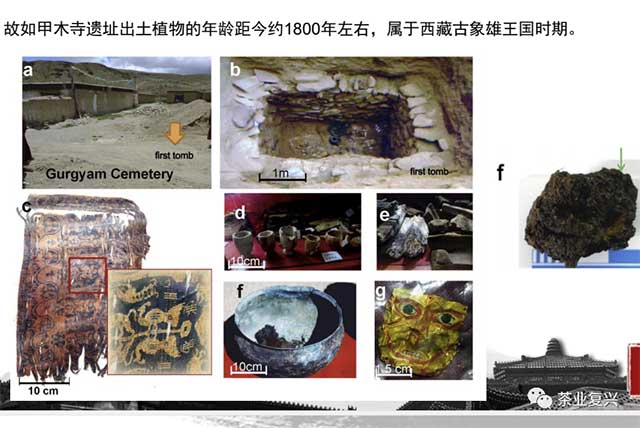 西藏易贡茶厂志