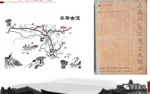 西藏易贡茶厂志