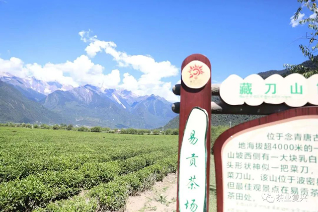西藏易贡茶厂志