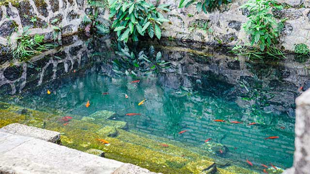 鲁史古井