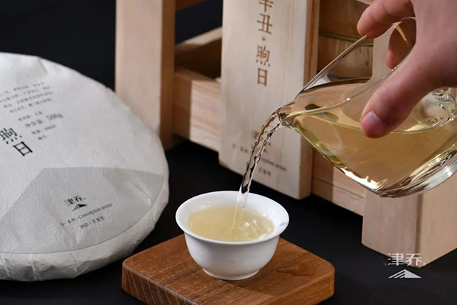 津乔普洱合一气象茶
