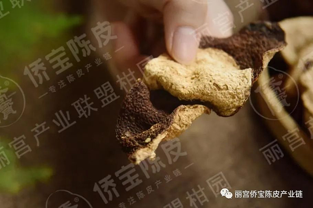 陈皮被列入新冠肺炎密接人员预防方