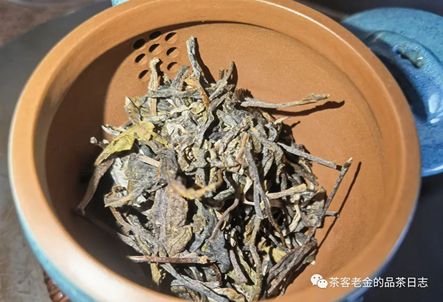 萧关茶事2022森林普洱茶