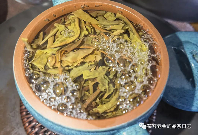 萧关茶事2022森林普洱茶