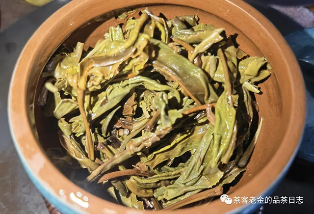 萧关茶事2022森林普洱茶