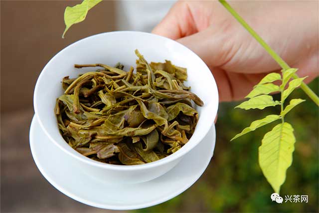 深土公司虎年纪念饼普洱茶