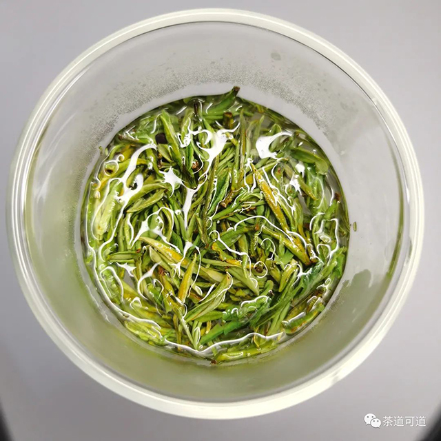 芳羽安吉白茶开园头采2021品质特点