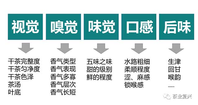 娄自田云南白茶高端白茶价值体系解构