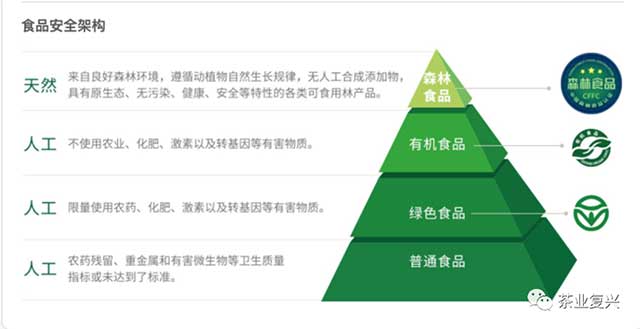 娄自田云南白茶高端白茶价值体系解构