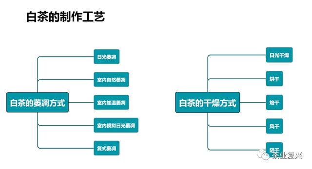 娄自田云南白茶高端白茶价值体系解构