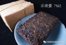 如何成就一杯上佳的古树熟茶？