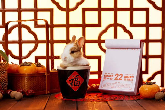 龙润茶兔饼瑞兔呈祥普洱茶品质特点